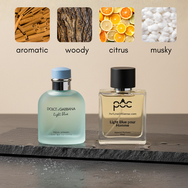 Light Blue Pour Homme by Dolce and Gabbana Inspired Perfume